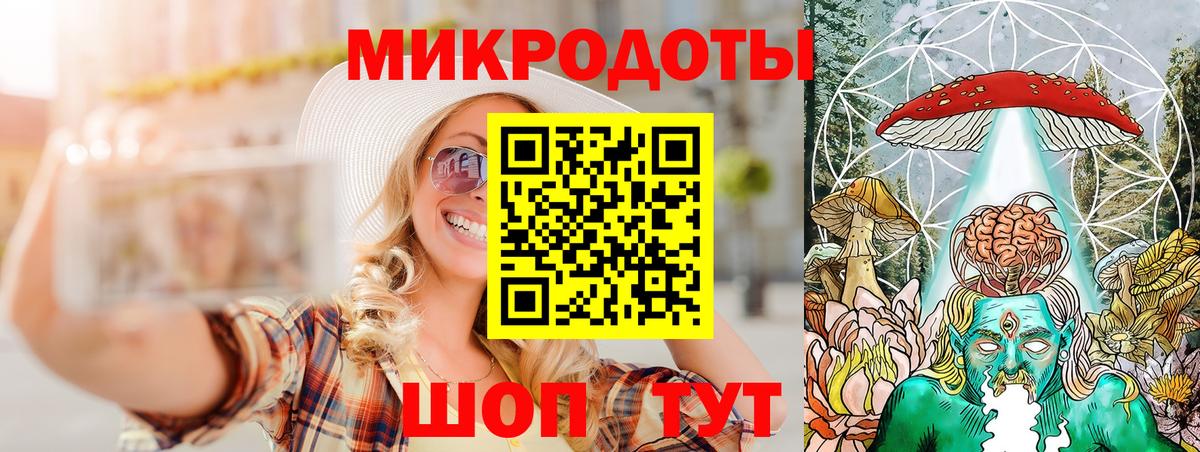 Галлюциногенные грибы Psilocybine cubensis Ярославль