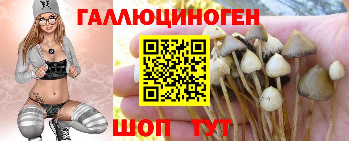 Псилоцибиновые грибы ЛСД  Вход с VPN  Ярославль  Псилоцибиновые грибы Magic Shrooms 