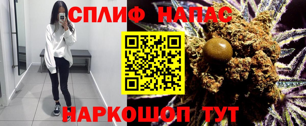 Конопля MAZAR Ярославль